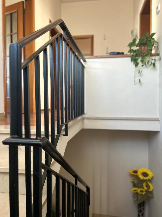 Albi'S House,Terrazza ,Wi-Fi, Parcheggio, Ac Apartment Лука Екстериор снимка