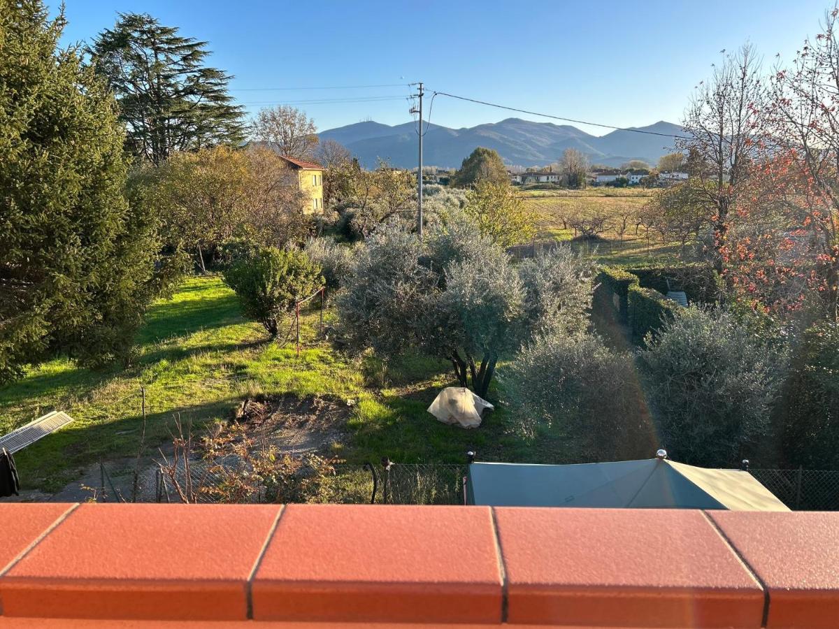 Albi'S House,Terrazza ,Wi-Fi, Parcheggio, Ac Apartment Лука Екстериор снимка