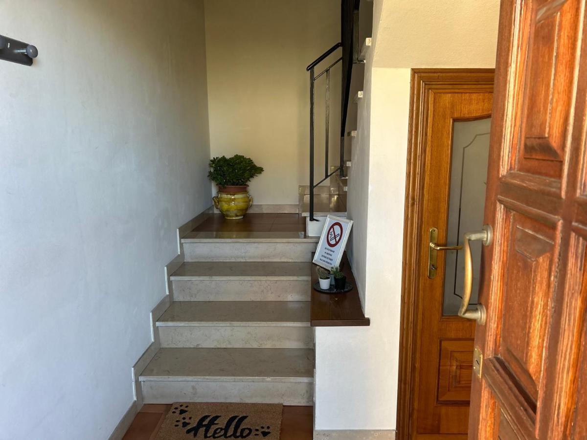 Albi'S House,Terrazza ,Wi-Fi, Parcheggio, Ac Apartment Лука Екстериор снимка