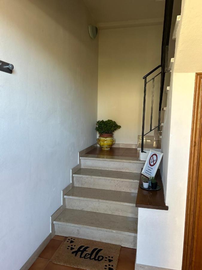 Albi'S House,Terrazza ,Wi-Fi, Parcheggio, Ac Apartment Лука Екстериор снимка